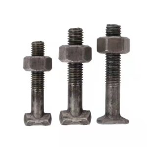 T Anchor Bolts 316 M6-M16 for Construction Industry Applications  Custom Lengths Available ISO
