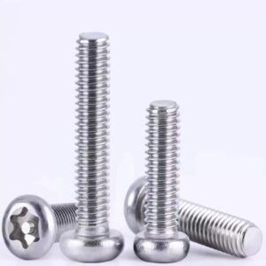 Custom Industrial Grade Security Screws One-Way Torx High Security Screws – Image 2